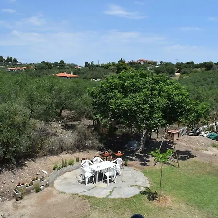 Apartment Lucid Dream Apt. |bozinis *